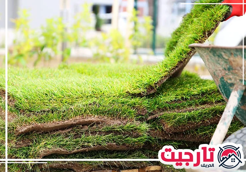 تركيب عشب صناعي دبي