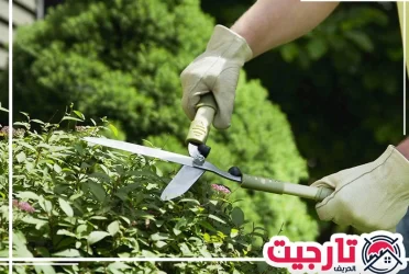 تنسيق حدائق عجمان