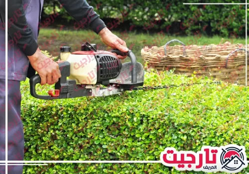 تنسيق حدائق رخيص في عجمان